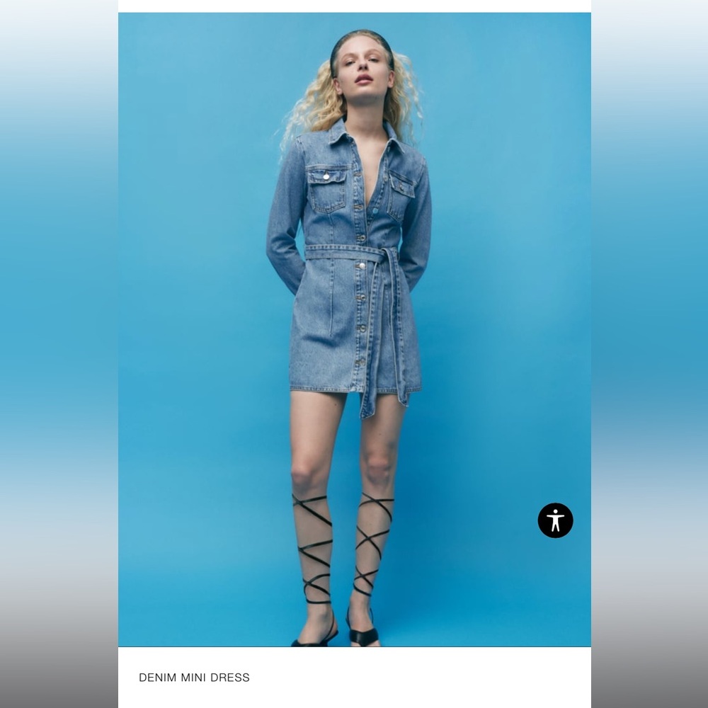 Zara Denim mini dress